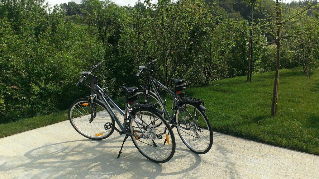 Ortenia Apartments In Nature ポドチェトルテク 部屋 写真